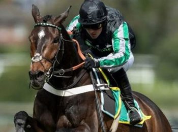 Altior Out of Kempton
